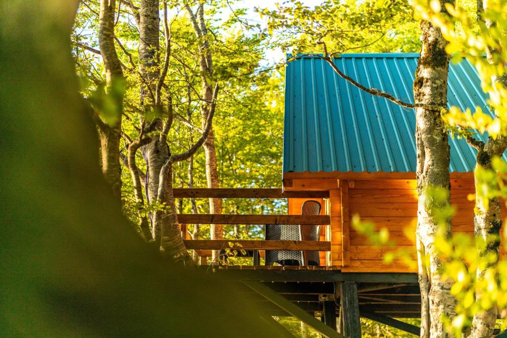 img_id_769599.jpg