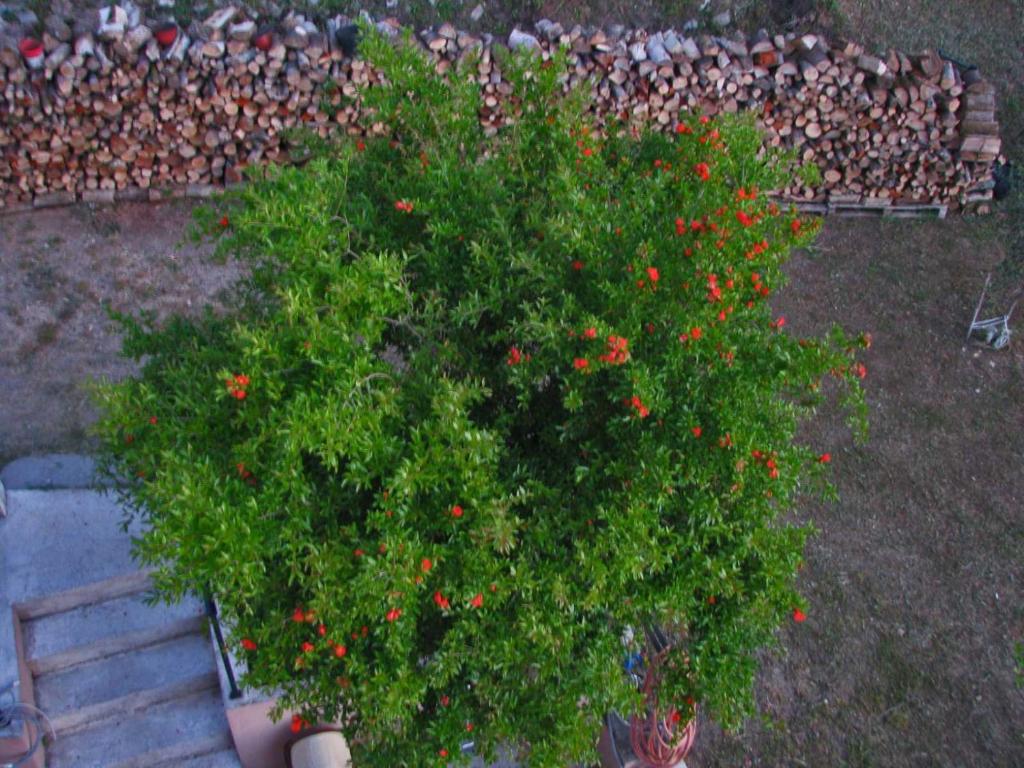 img_id_770398.jpg