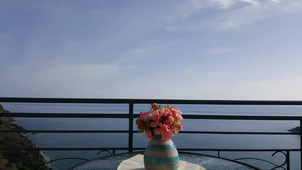 img_id_771173.webp