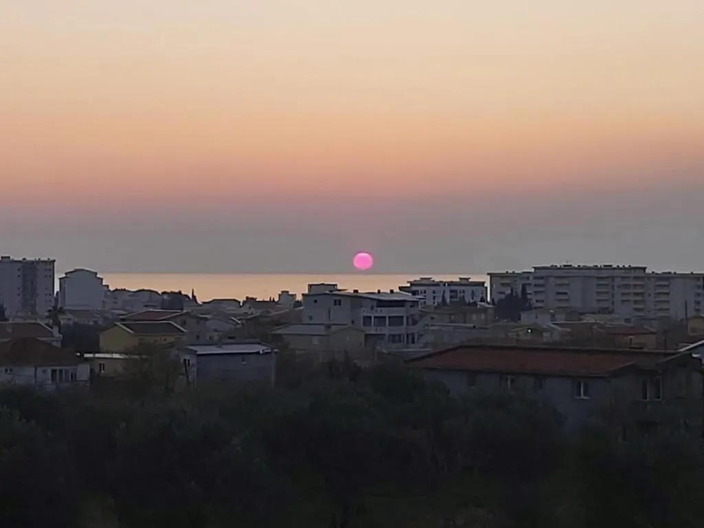 img_id_772622.webp