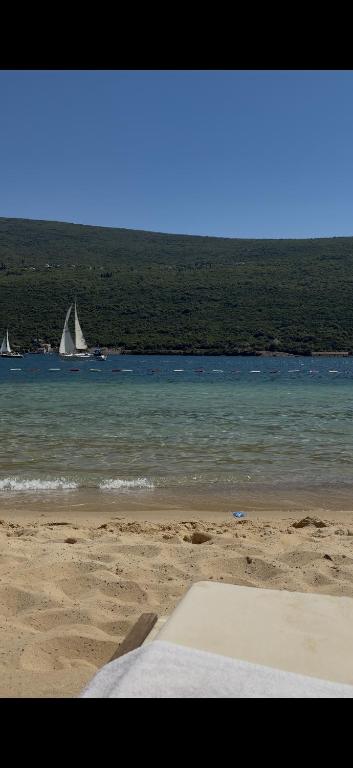 img_id_773265.jpg