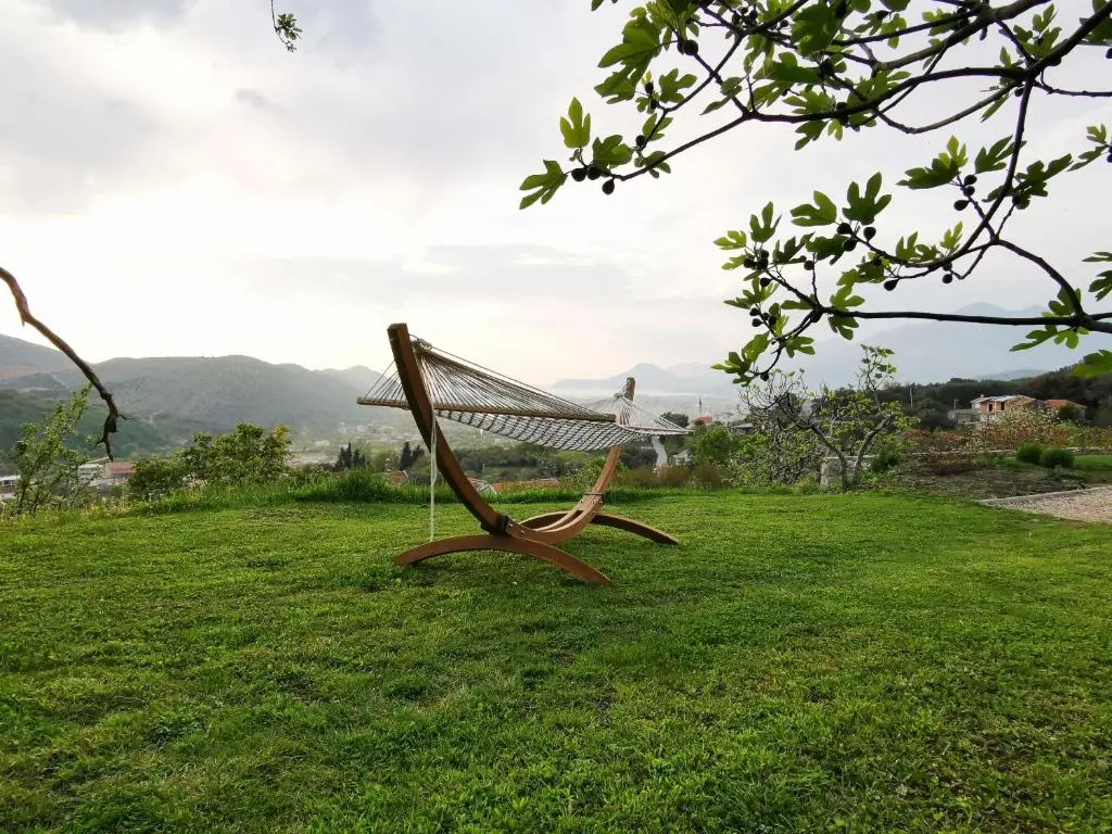 img_id_775208.webp