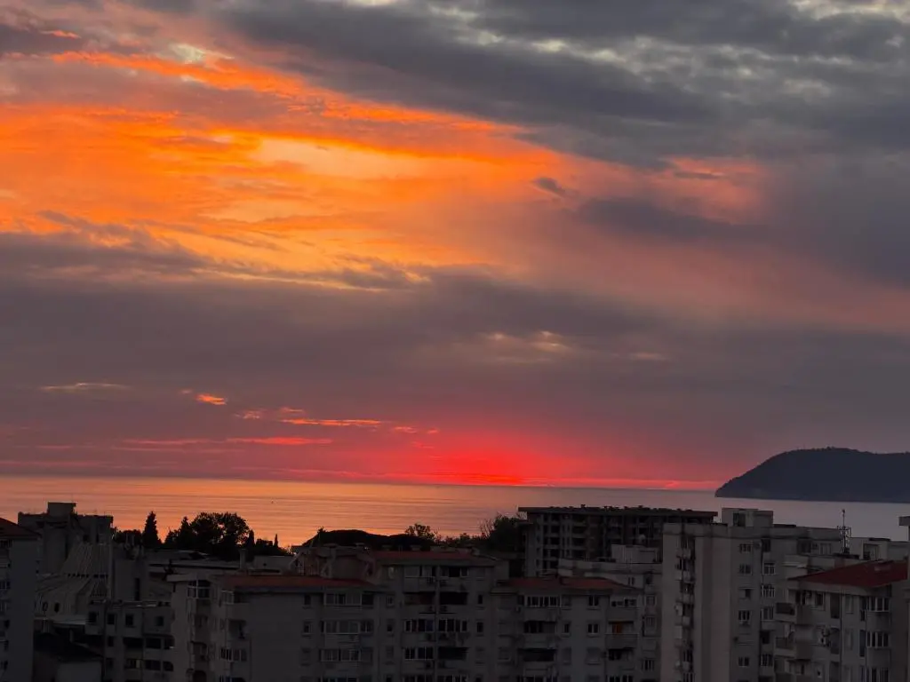 img_id_775263.webp