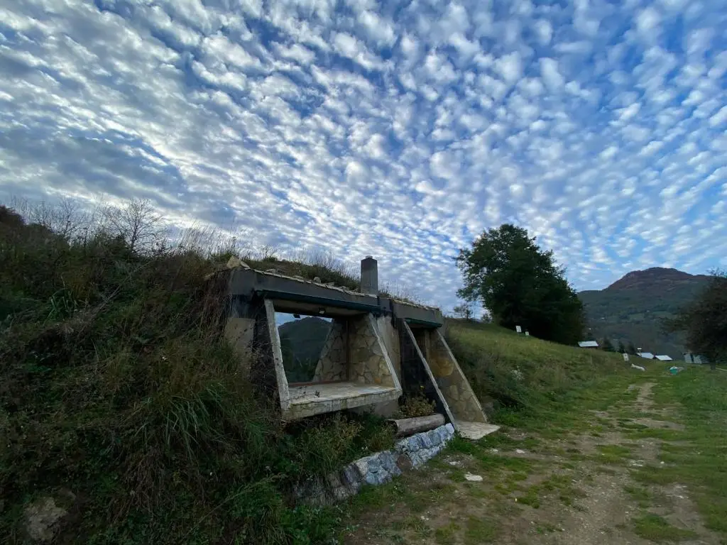 img_id_775794.webp