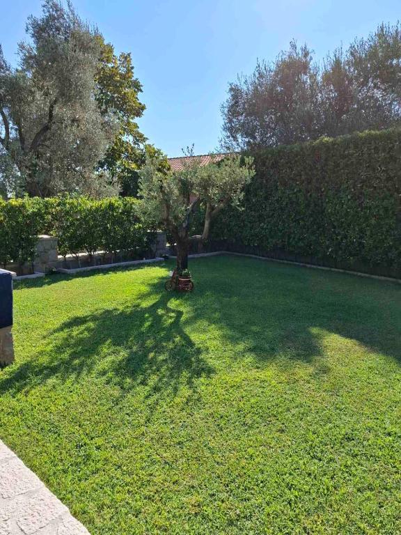 img_id_776471.jpg