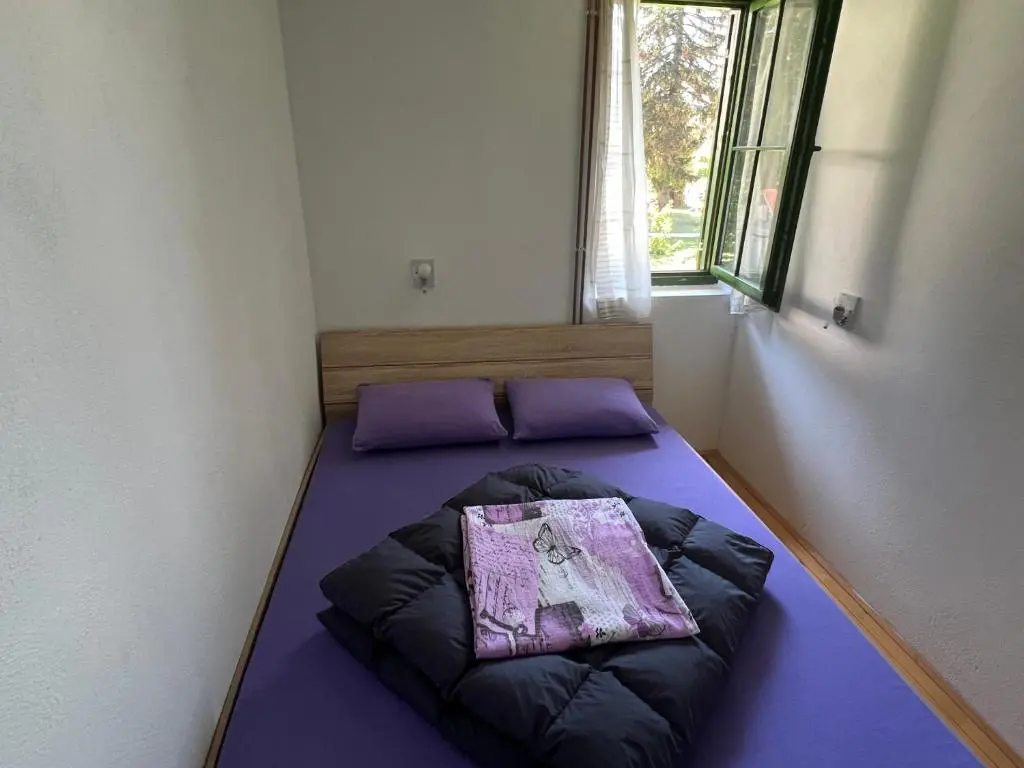 img_id_776986.webp