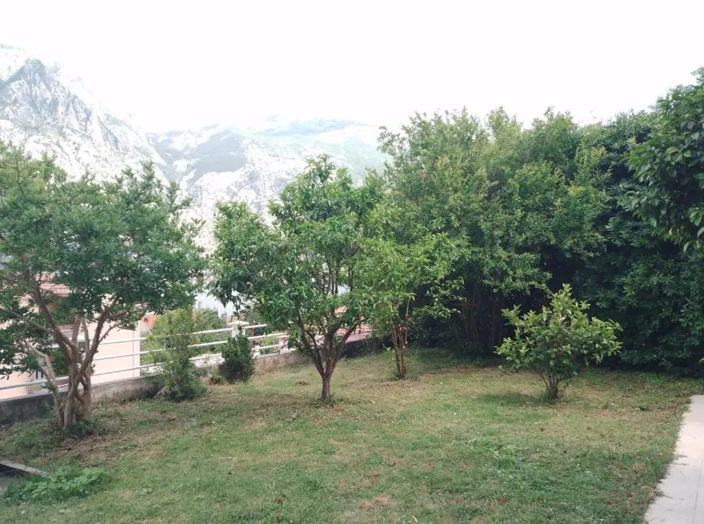 img_id_777713.webp