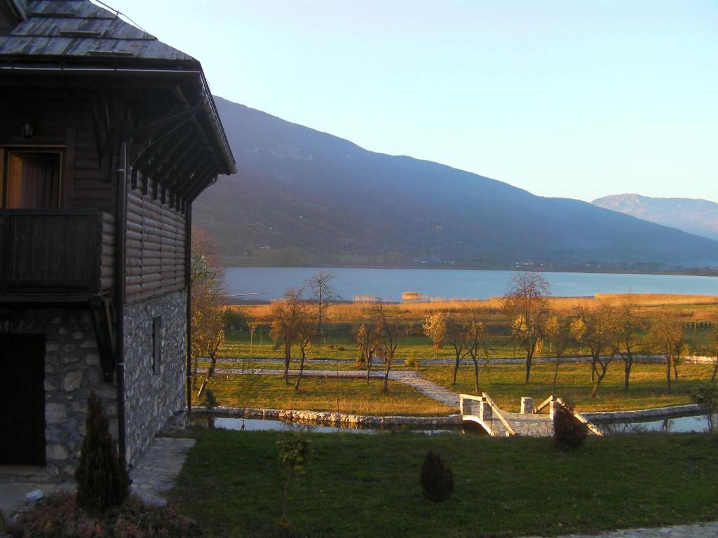 img_id_779422.jpg