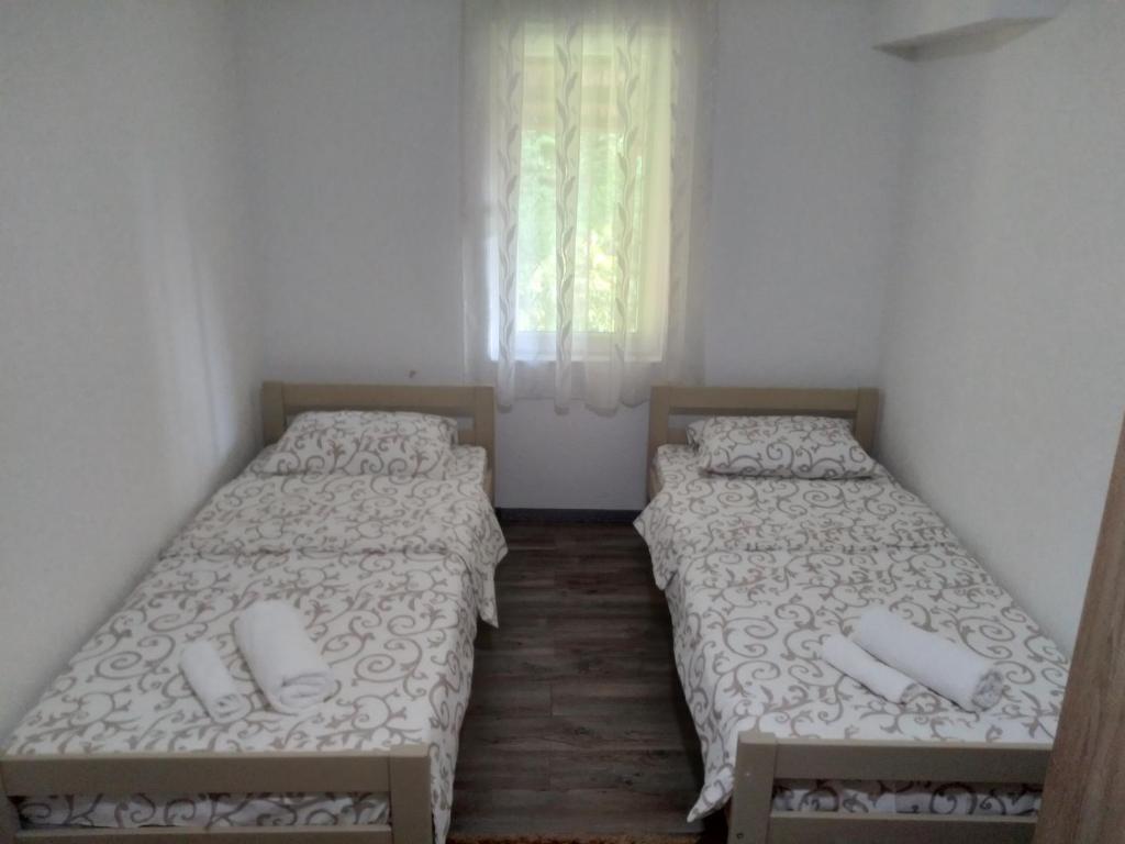 img_id_779837.jpg