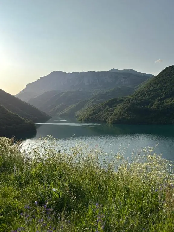 img_id_780320.webp