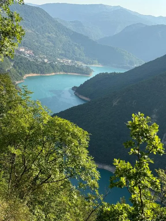 img_id_780323.webp