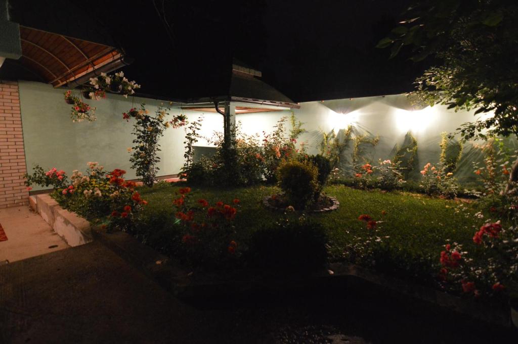 img_id_780451.jpg