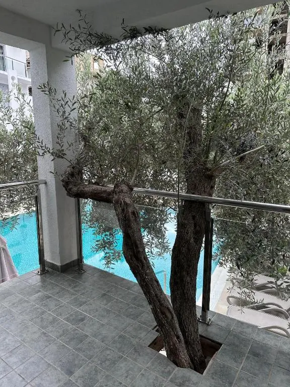 img_id_780997.webp