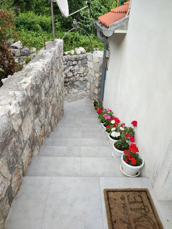 img_id_781972.webp