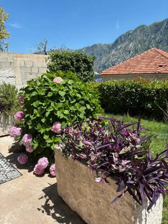 img_id_782140.webp
