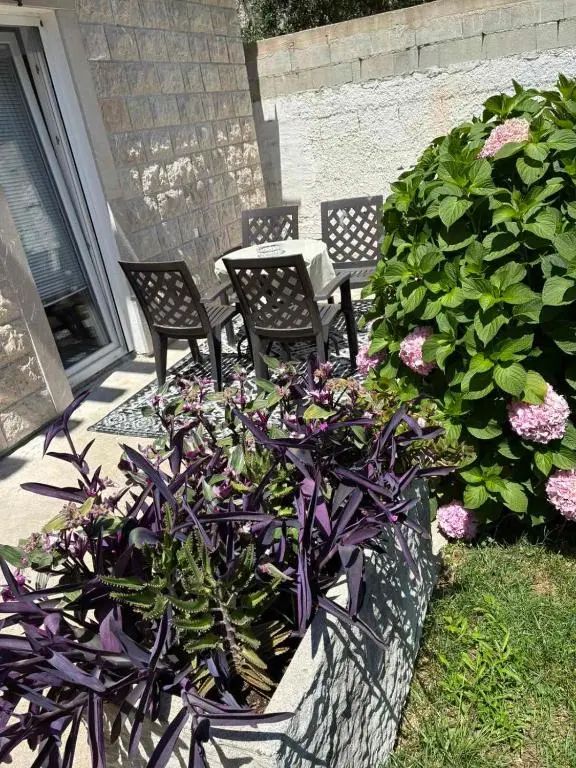 img_id_782142.webp