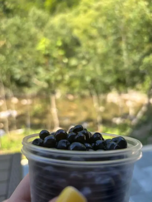 img_id_783360.webp