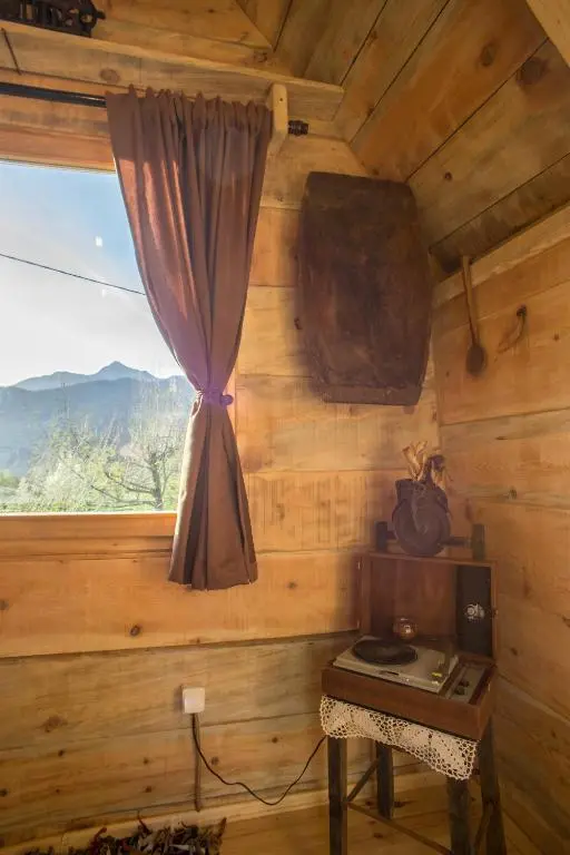 img_id_784049.webp