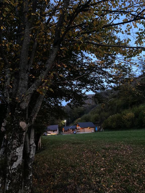 img_id_785417.jpg