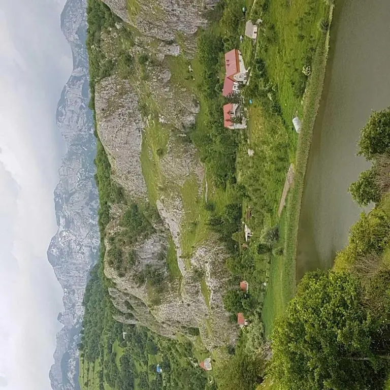 img_id_786347.webp