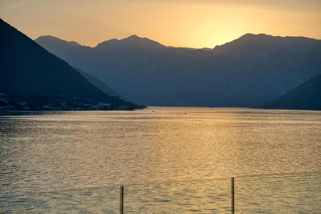 img_id_786952.jpg