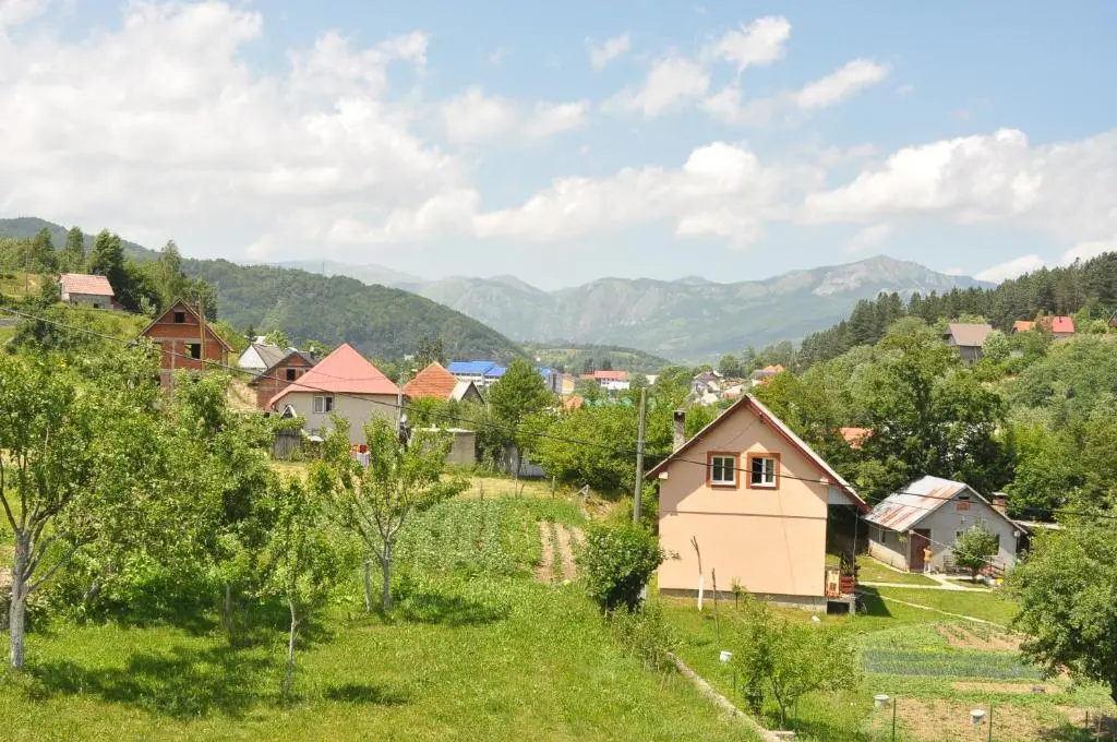 img_id_787854.webp