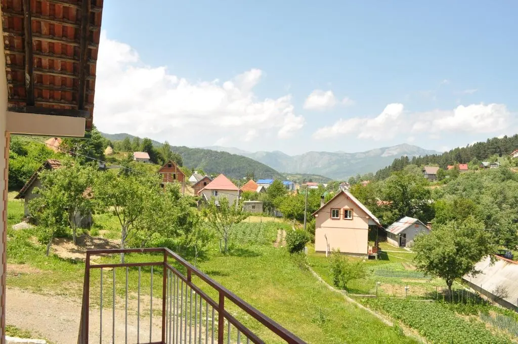 img_id_787874.webp