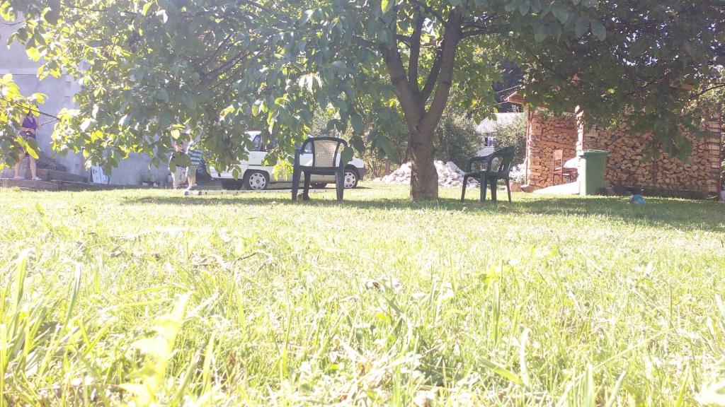 img_id_787903.jpg