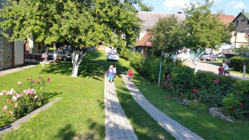 img_id_787926.jpg