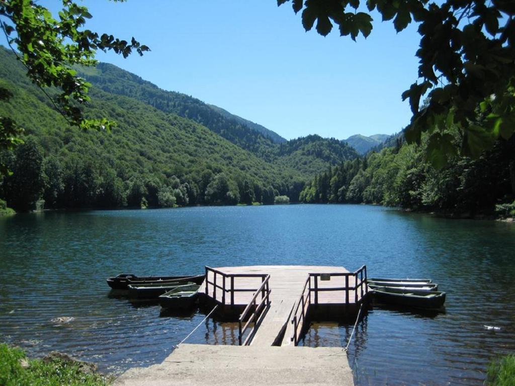 img_id_788046.jpg