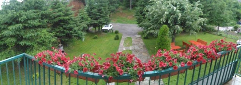 img_id_788048.jpg