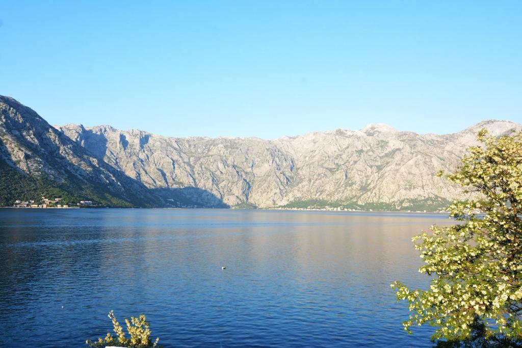 img_id_791739.jpg