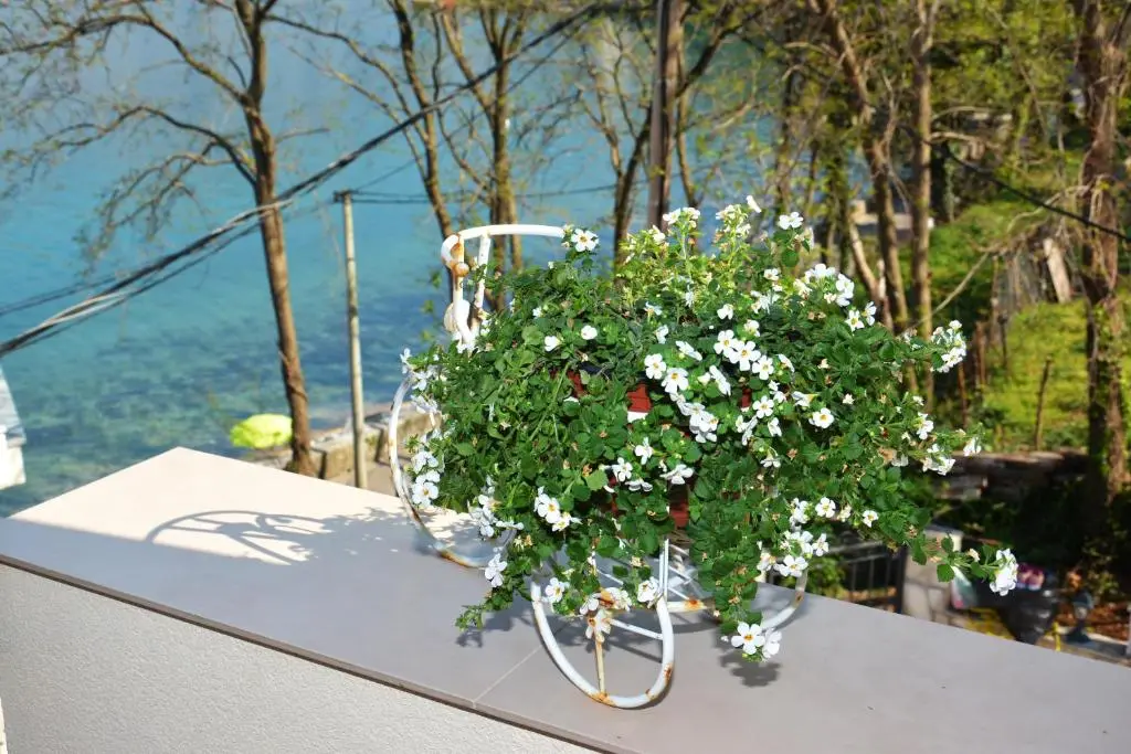 img_id_791767.webp