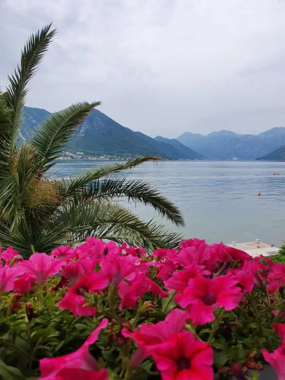 img_id_792276.webp
