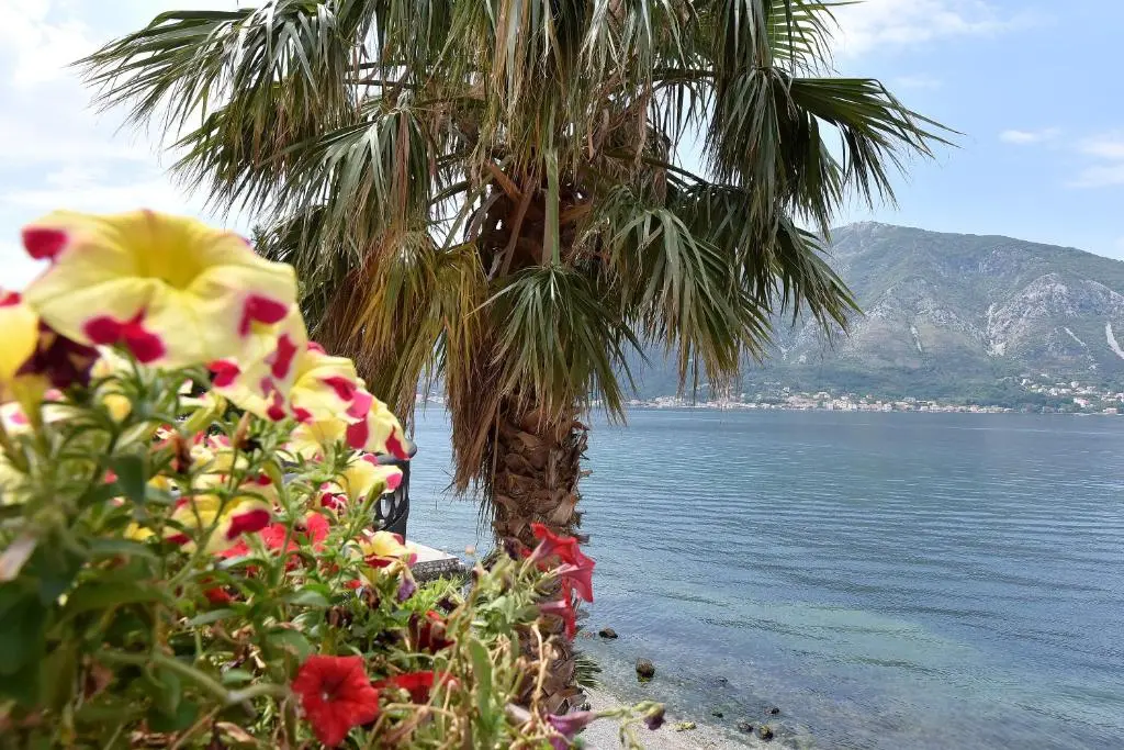 img_id_792287.webp