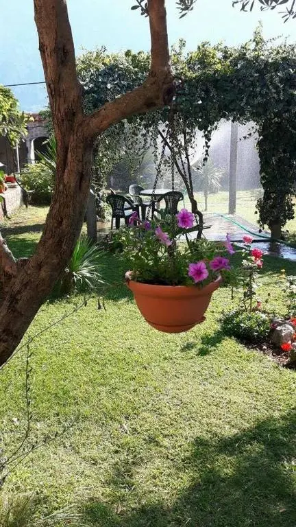 img_id_792851.webp