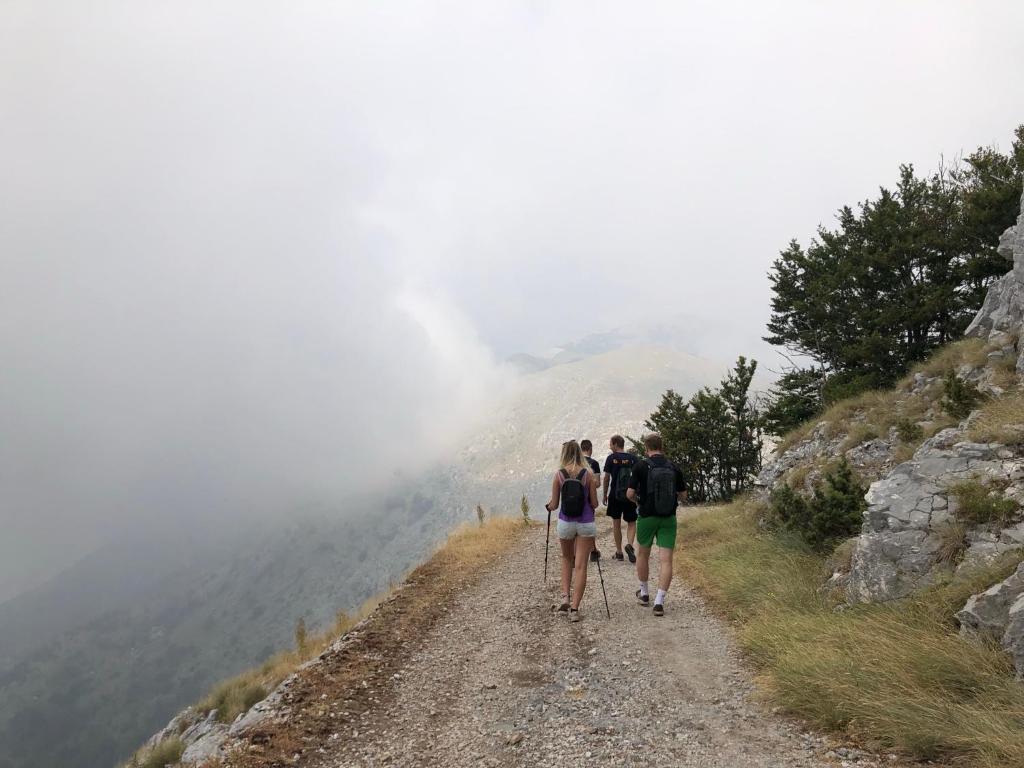 img_id_794609.jpg