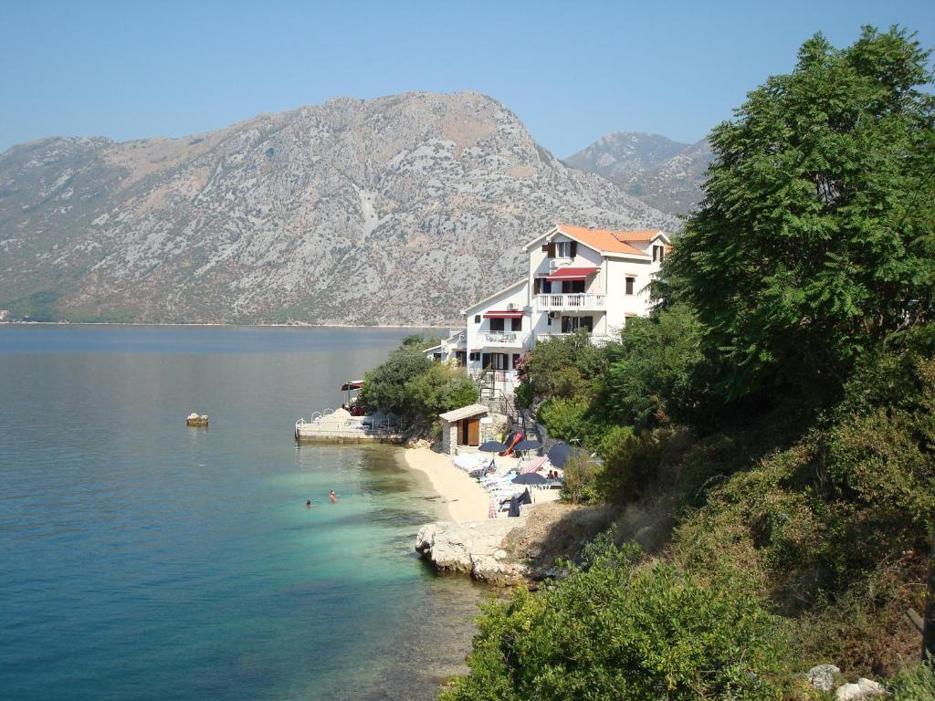 img_id_794660.jpg