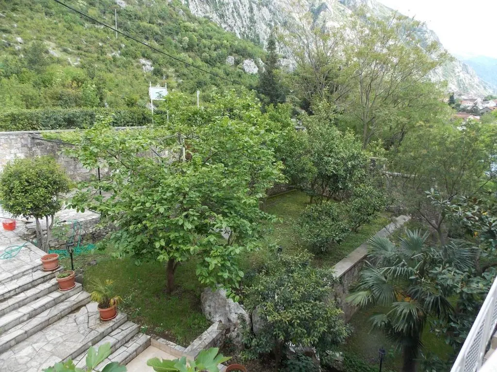 img_id_794764.webp