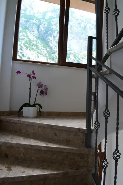 img_id_795185.webp