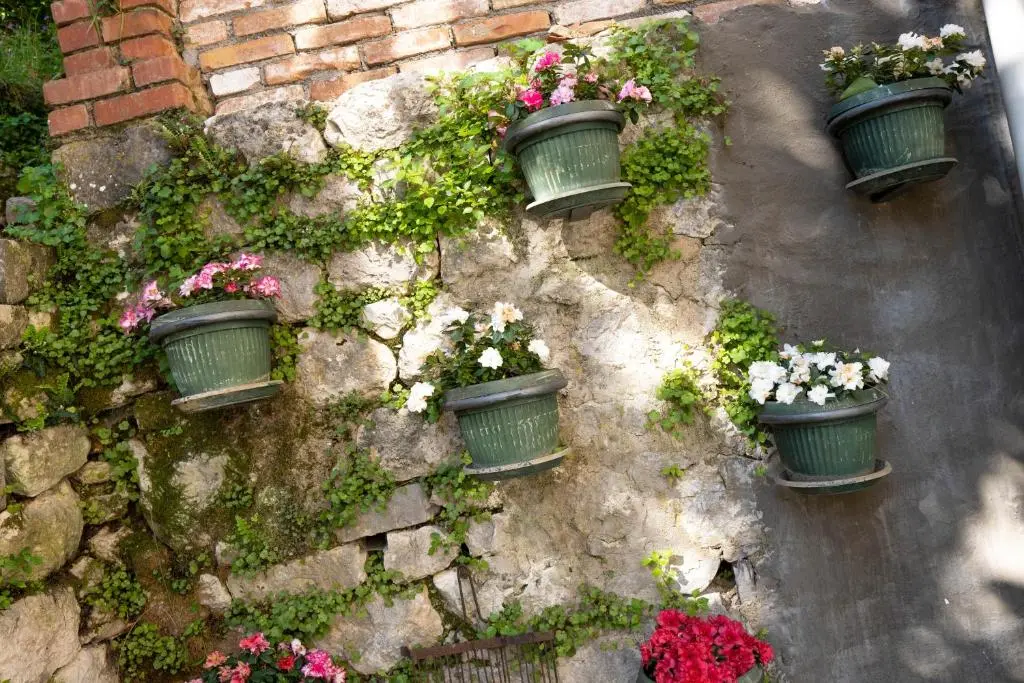 img_id_795829.webp