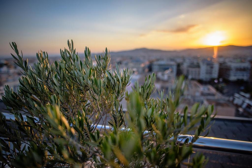 img_id_799113.jpg