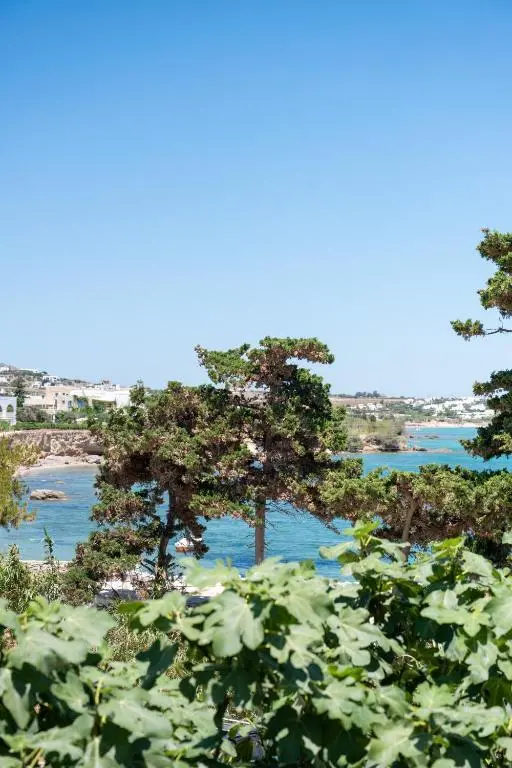 img_id_804743.webp