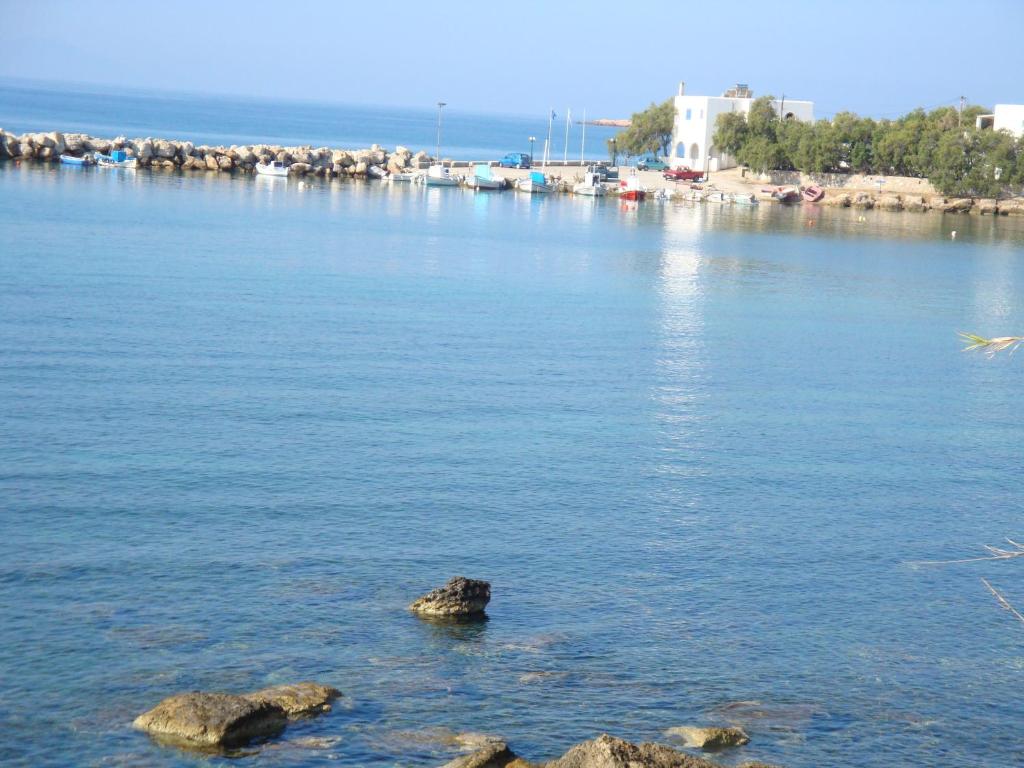 img_id_804921.jpg
