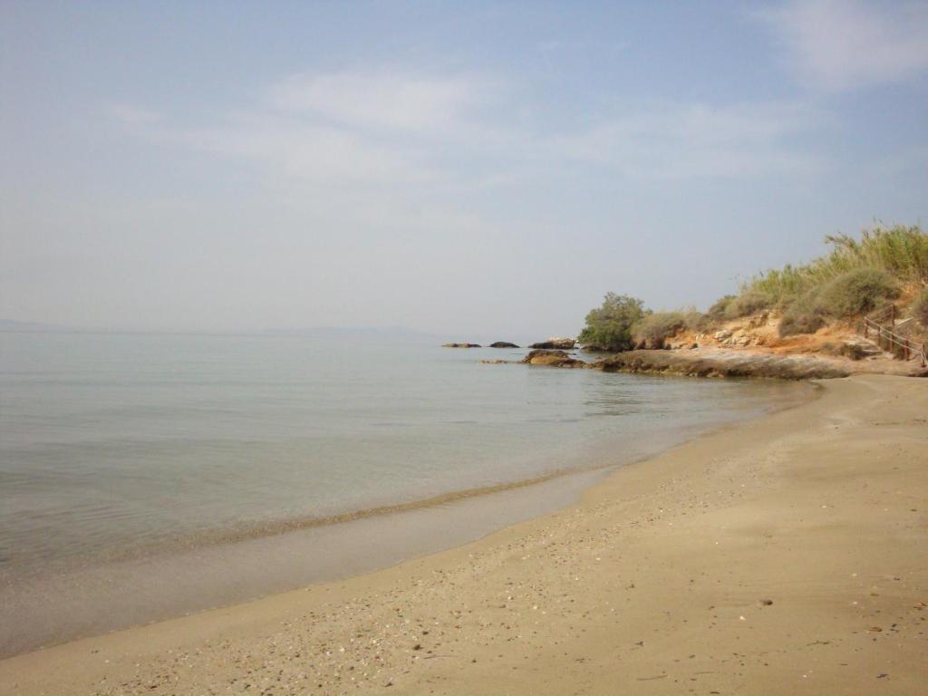 img_id_804928.jpg