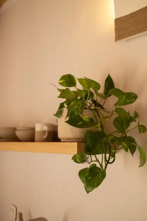 img_id_805744.webp
