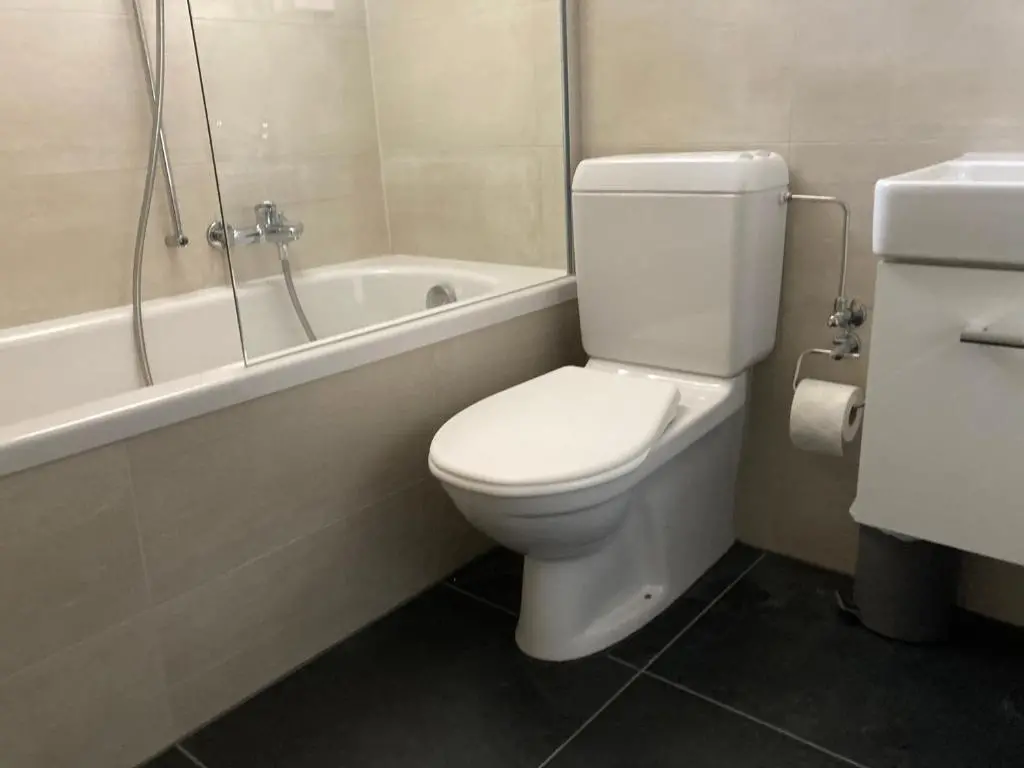 img_id_989450.webp