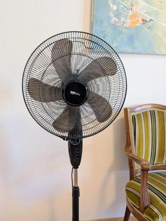 img_id_992016.webp