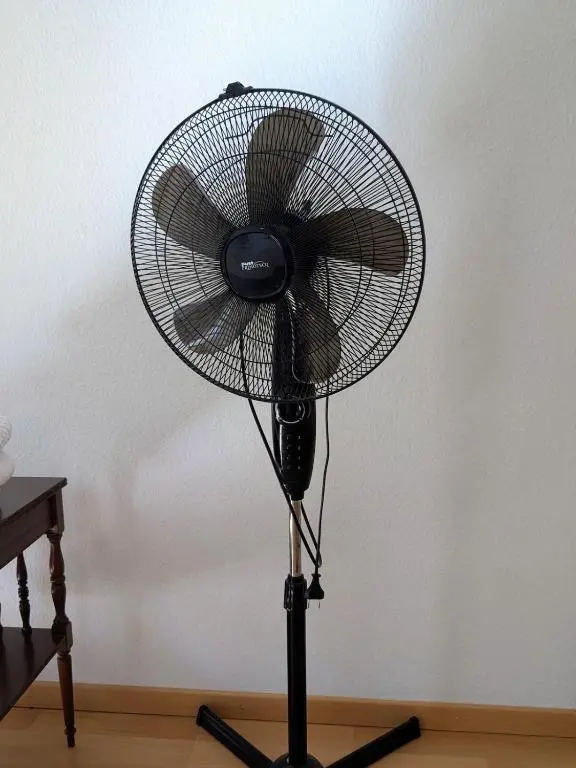 img_id_992027.webp