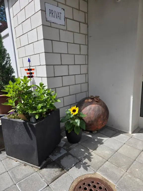 img_id_992761.webp